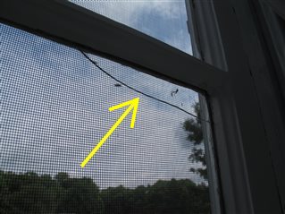 Glass in one or more windows is broken.